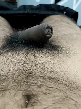 Bull54321 online show from September 19, 4:47 am