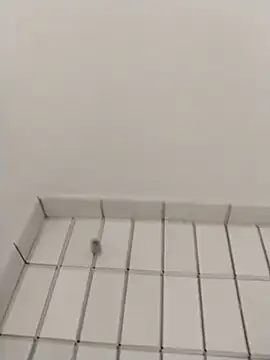 Snapshot of Ajayy01 chatting on October 31, 7:42 am Ajayy01 online show from October 31, 7:42 am