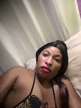 kinghtwalker online show from November 16, 2:06 am