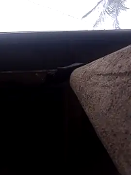 lady helen00 online show from November 15, 6:55 am