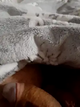 Snapshot of ratoncito_3 chatting on November 16, 2:06 am ratoncito 3 online show from November 16, 2:06 am