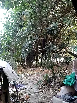 Hotty-rosni online show from December 4, 2:43 am