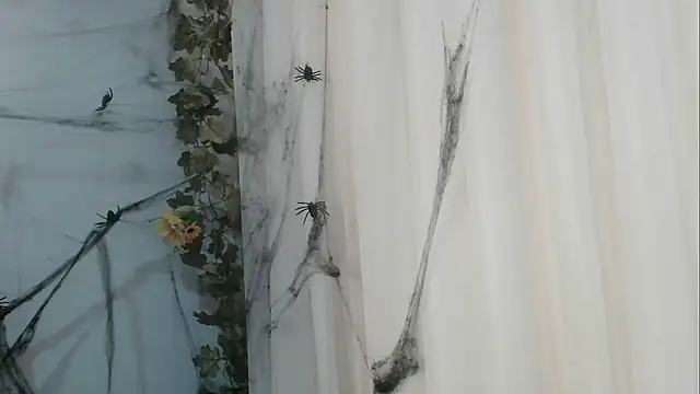 angelainparis28 online show from October 21, 1:06 am