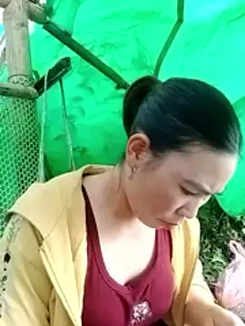 cicnci online show from November 5, 1:38 am