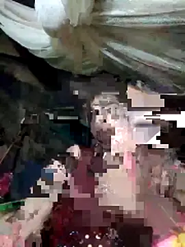 cicnci online show from November 8, 10:26 am