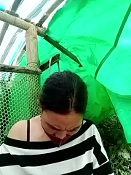 cicnci online show from November 12, 3:07 am