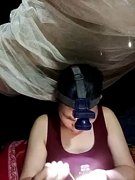 cicnci online show from November 13, 5:17 am