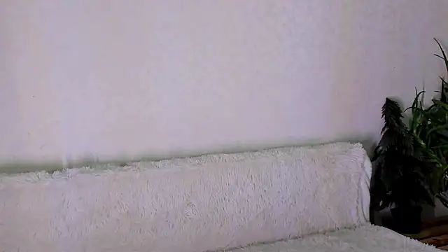 thief of hearts online show from November 25, 10:26 am