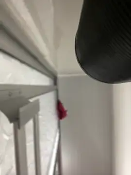 JuanitaMore01 online show from October 7, 8:28 pm