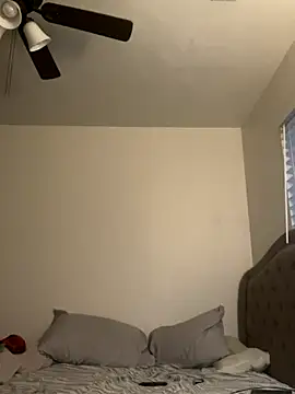 pnwzo online show from December 19, 12:28 am