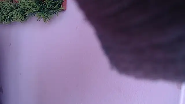 IVONNE COLLINS33 online show from September 24, 1:47 pm