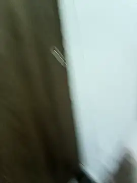 Maazikeen online show from November 17, 3:01 am