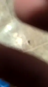 Snapshot of DecimalPoint222InchCock chatting on November 10, 11:15 pm DecimalPoint222InchCock online show from November 10, 11:15 pm