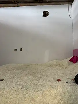 Alexis Spicter online show from December 13, 8:58 pm