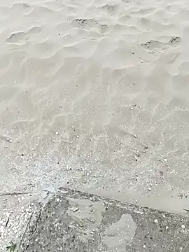 pegaso369 online show from September 22, 1:13 pm