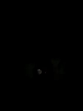 Snapshot of philefc chatting on November 3, 7:42 am philefc online show from November 3, 7:42 am