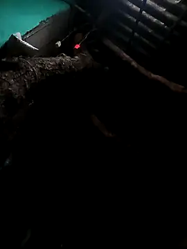 Suhana pandit online show from September 29, 9:19 pm