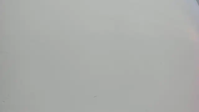 Saammy 17 online show from October 1, 8:04 pm