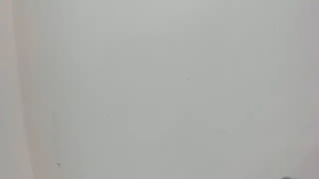 Saammy 17 online show from October 3, 8:06 pm