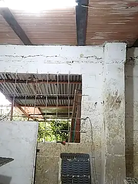 hoteder online show from October 24, 12:01 pm