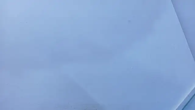 Lizbeth Rouse online show from November 9, 11:19 am