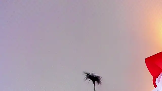 Lillie Berry online show from October 25, 4:42 am