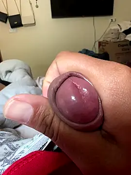 Ksc1802 online show from November 12, 4:51 pm