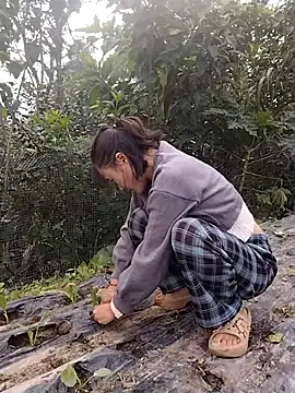 linda bae00 online show from November 15, 1:58 am