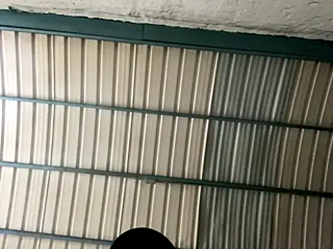 rider239 online show from October 24, 9:28 am