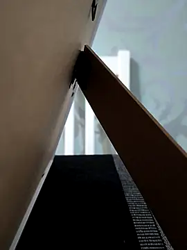 Snapshot of xxxfeo chatting on December 17, 4:46 pm xxxfeo online show from December 17, 4:46 pm