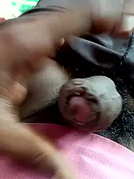 dolphiinn online show from November 4, 5:28 am