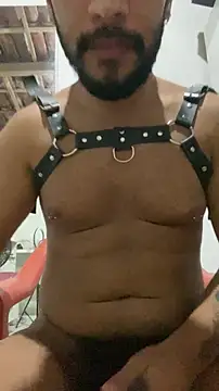 spiderfindom online show from November 4, 5:28 am