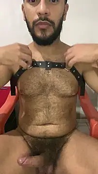 spiderfindom online show from December 1, 6:18 am