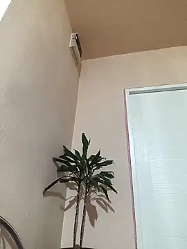 papichulo0099 online show from October 21, 3:07 am