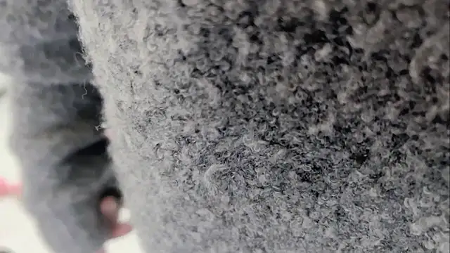 lingzi9333 online show from November 26, 11:55 am