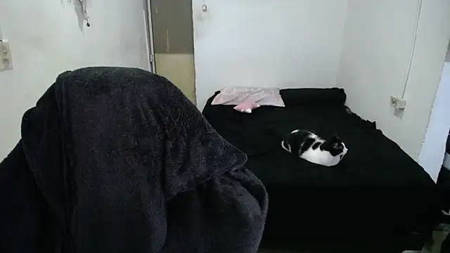 Amber09raiden online show from October 31, 5:03 pm