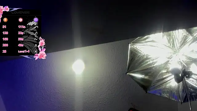 Hanna wish online show from November 3, 1:34 pm