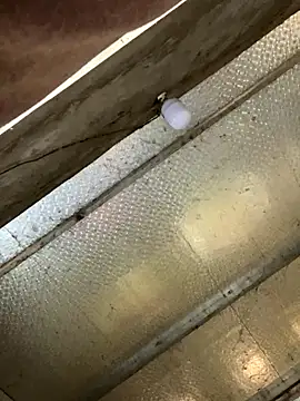 han-cute online show from November 24, 6:24 am