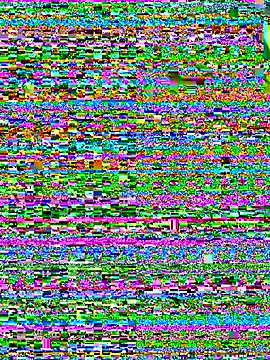 Snapshot of bao-boi chatting on September 20, 6:25 am bao-boi online show from September 20, 6:25 am