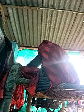 Snapshot of Hot-honi chatting on November 8, 9:42 am Hot-honi online show from November 8, 9:42 am