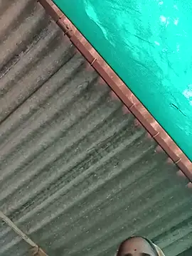 Snapshot of Hot-honi chatting on November 12, 5:52 am Hot-honi online show from November 12, 5:52 am