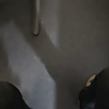 stunning stallion online show from October 23, 9:35 pm