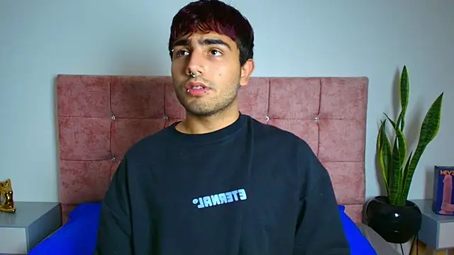 Ares Alpha online show from November 24, 7:24 pm