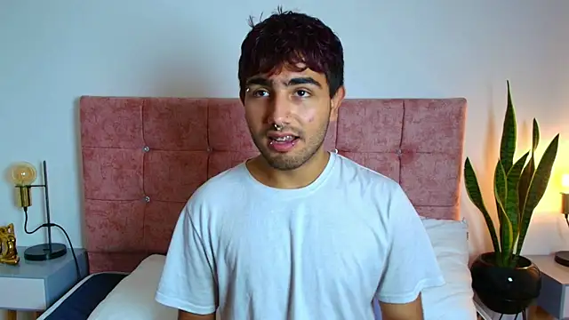 Ares Alpha online show from November 26, 6:53 pm