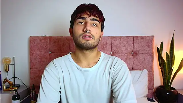 Ares Alpha online show from November 29, 6:33 pm