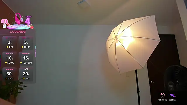  online show from December 1, 1:16 pm