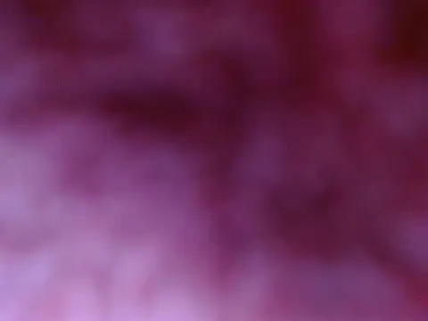 Your candy 47 online show from September 17, 1:24 pm