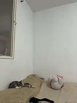 aliciia 23 online show from November 28, 8:11 pm