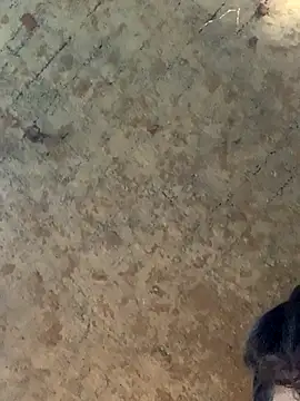 uniquesexyboy5689 online show from November 27, 10:50 am