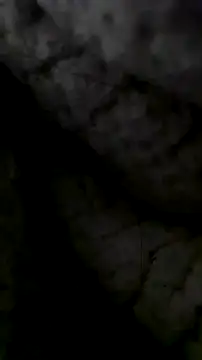 Snapshot of LanaAce719 chatting on October 13, 7:41 am LanaAce719 online show from October 13, 7:41 am